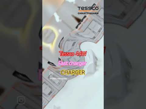 TESSCO 44W FAST CHARGER