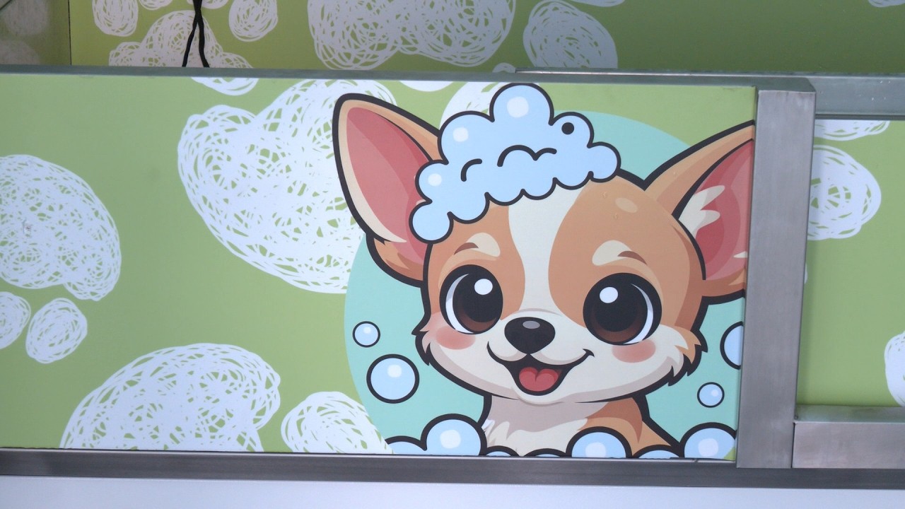 Mascotas Sabimar abre sus puertas