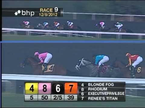 The 31st Running of the Hollywood Starlet (GI) - $500,000 Guaranteed