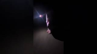 Happy new year everybody ￼