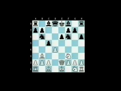 JUDİT POLGAR   VLADİMİR EPİSHİN