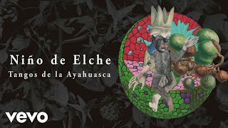 Tangos de la Ayahuasca Lyrics English Translation