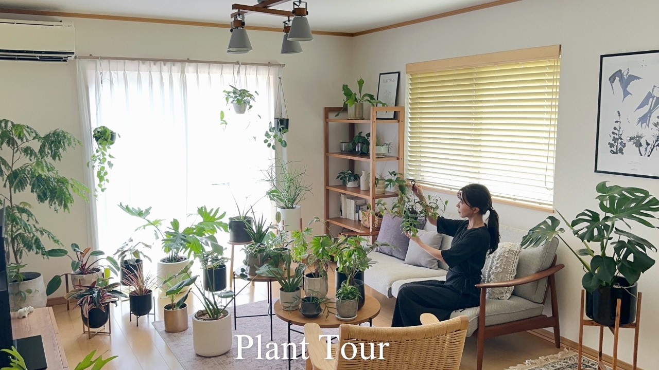 【Plant Tour】インテリアと観葉植物｜部屋をおしゃれに惹き立てるインテリアグリーン