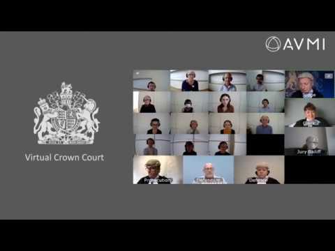 Hybrid Virtual Court - Main Trial