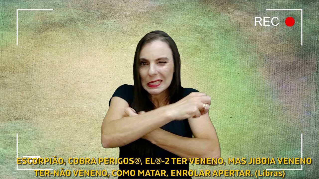 Animais de D - J em Libras