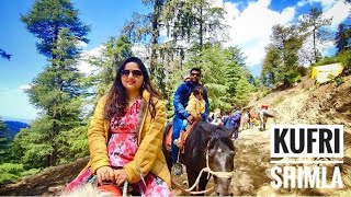 Shimla Manali Vlog - 3 |Kufri - Part1 | Kufri Tour Plan | Kufri Adventure