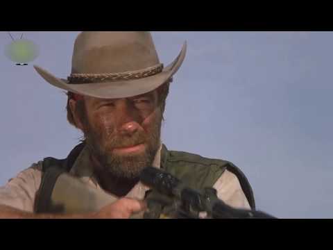 chuck norris x pablo vittar