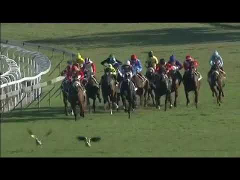 2018.07.07 Durban Golden Horseshoe (RSA) - Barahin