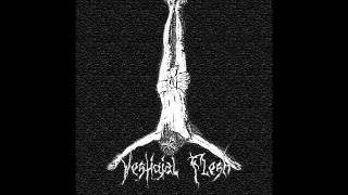 Vestigial Flesh - Burnt