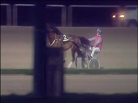 Trotto 20/12/2019 - 8ª corsa