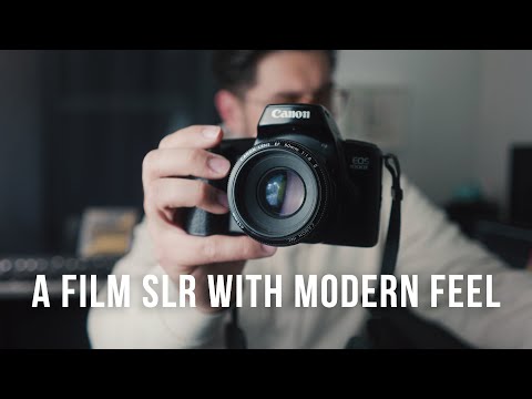 🎞️ Canon EOS 1000F N + Sigma 24-70mm/3.5-5.6 - Image 2