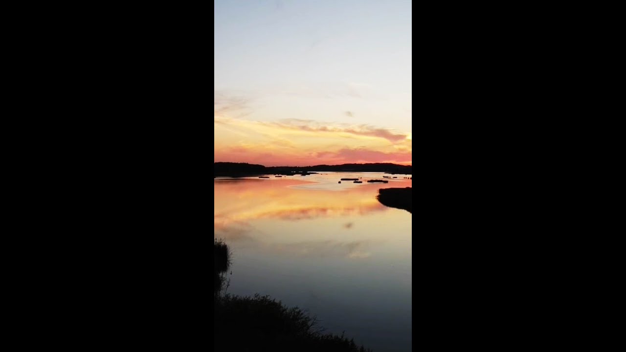 Never Stop Learning Because Life Never Stops Teaching 🤓 - Motivational Quotes | Motivational Video