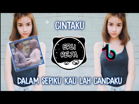 DJ DALAM SEPI KAULAH CANDA KU | CINTAKU - RENDY ANDIKA FT MITA MPOT VIRAL TIKTOK