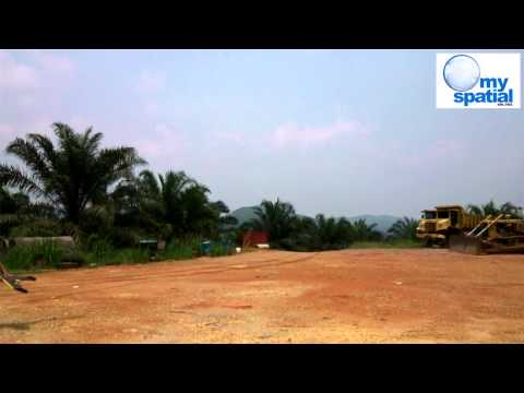 UV Images for Oil Palm Plantation