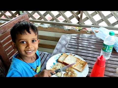 Agra melhor hotel para ficar | HOTEL SANIYA PALACE | Tchau tchau Agra | Agra para Delhi