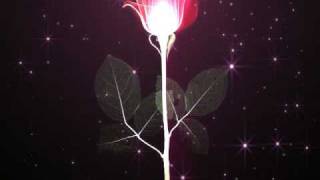 HybRefine - Starlight Love(Vocal Version) feat.권기범