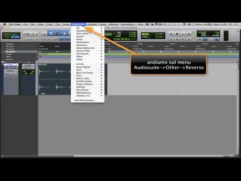Pro Tools - Reverse e Time Stretching