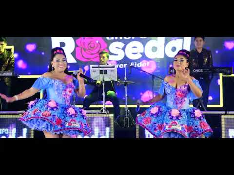 Grupo Rosedal - Entre licor y licor | Activo Records™ 2023
