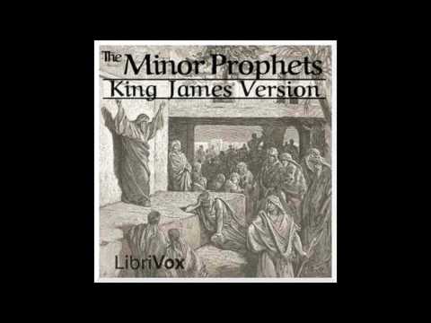 Bible The Minor Prophets by King James Version #audiobook