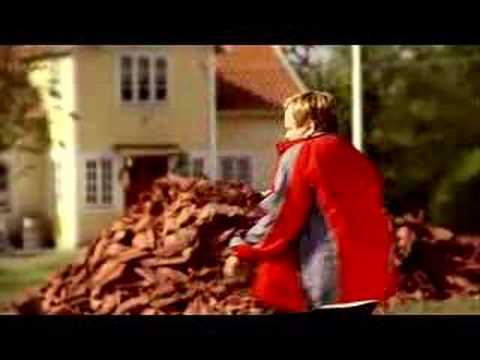 Ingesson till VM 2010