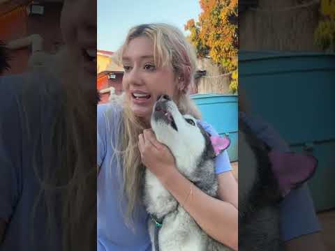 #emillyvickof #katlenof