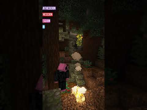 Spruce Cave - Minecraft Custom Biome