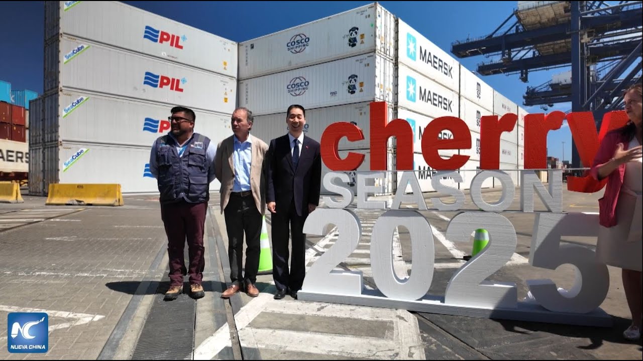 Chile inicia temporada de cerezas con barcos rápidos a China
