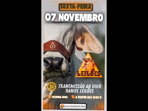 Fazenda Nova  - GO  07/11/2025