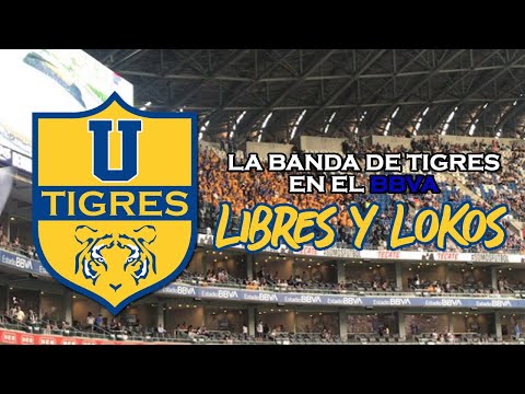"La hinchada de Tigres en el BBVA #ClásicoRegio" Barra: Libres y Lokos • Club: Tigres