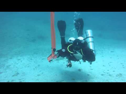 How to deploy a DSMB