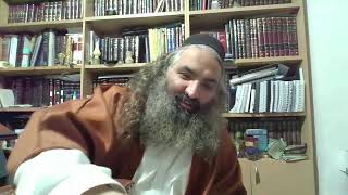 ברית מנוחה 4