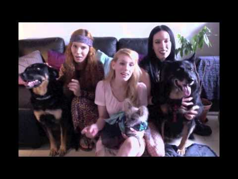 The Priester Sisters - The Priester Sisters (Official) - All You Need Is Love (The Beat