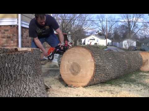 STIHL MS 461 20\