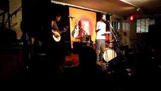 Breathe Owl Breathe- parrots in the tropical trees