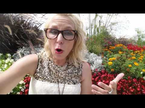 download lagu mp3 mp4 Peace Harmony, download lagu Peace Harmony gratis, unduh video klip Peace Harmony