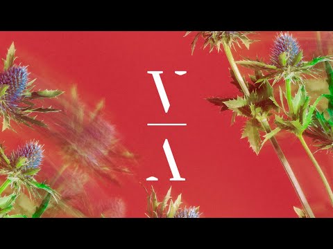 Sultan + Shepard & Lane 8 - The Little Mushroom That Got Away