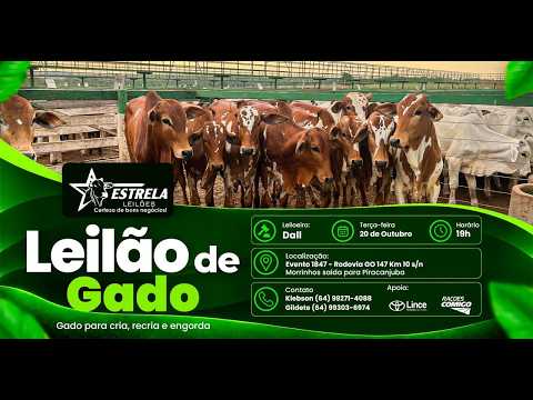 ESTRELA LEILÕES  - AO VIVO - 20/10/2026  -  19H - MORRINHOS - GOIÁS