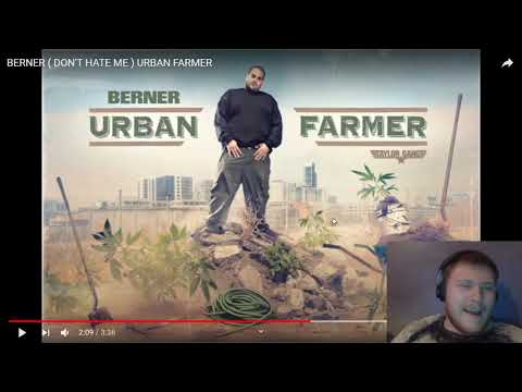 Reaction to BERNER ( DON'T HATE ME )