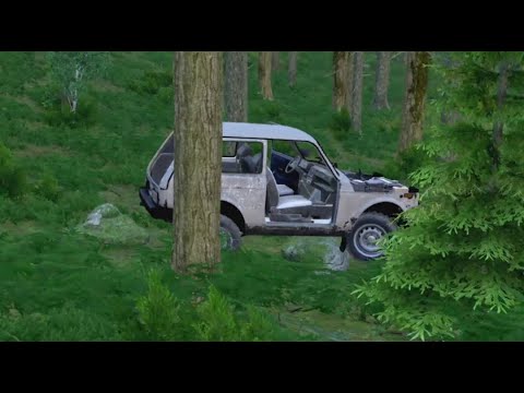 I really love DRIVING CARS | DayZ