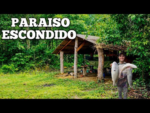 Acampamento 🏕 No Rio Curua!! Muito Peixe e Muita Aventura, e Uma Nascente De Água Cristalina 