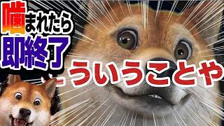 噛まれたら即終了 バイオハザードRE:4 / part409