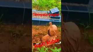 Download lagu azab kubur mp3