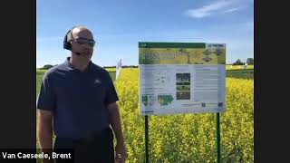 Pioneer Protector® Clubroot