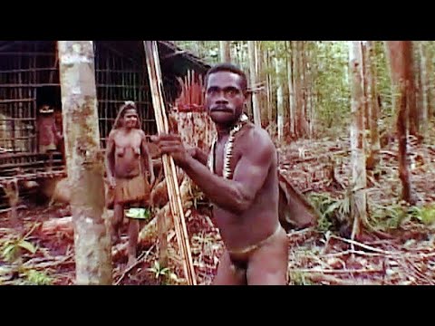 В гости к каннибалам. To Visit Cannibals. Papua.