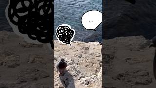 南仏の春、フラれても始まる物語 🕊️A Spring Story in the South of France — Even After Rejection 🕊️