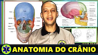 Aprenda a Anatomia do Crânio