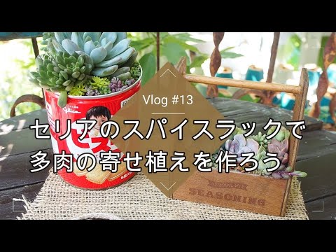 園芸 植物とスパイス