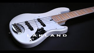 Video thumbnail for Lakland Skyline Darryl Jones signature 5 (DJ5) Bass Demo by Bass Buddha
