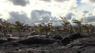 Kohala No (Hi Res Version) by Jim Kimo West, video by Bill Manning