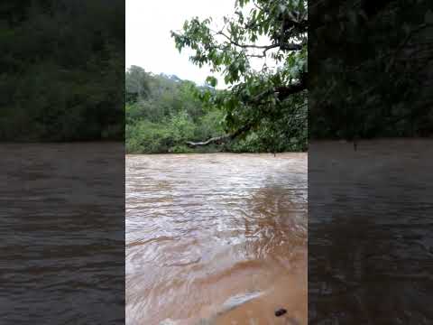 Rio Dourados Próximo à Ronelândia (Caxambu). Município de Cromínia-Goiás.